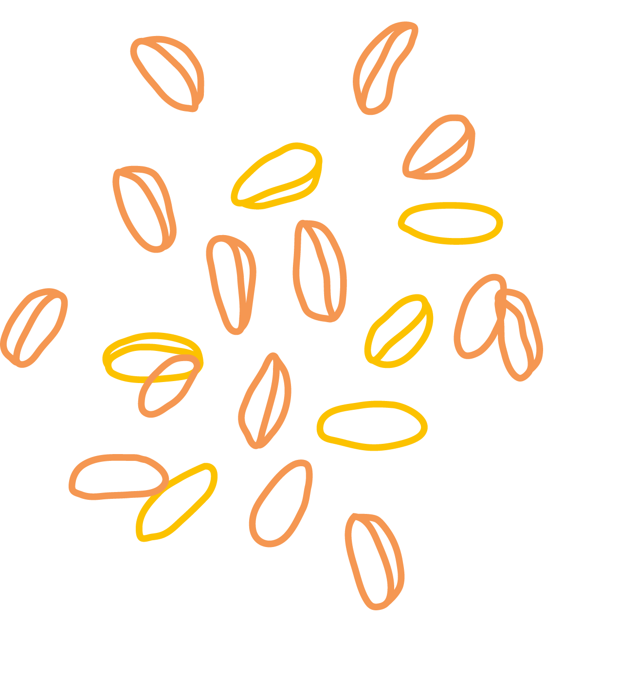 Hard Red Wheat