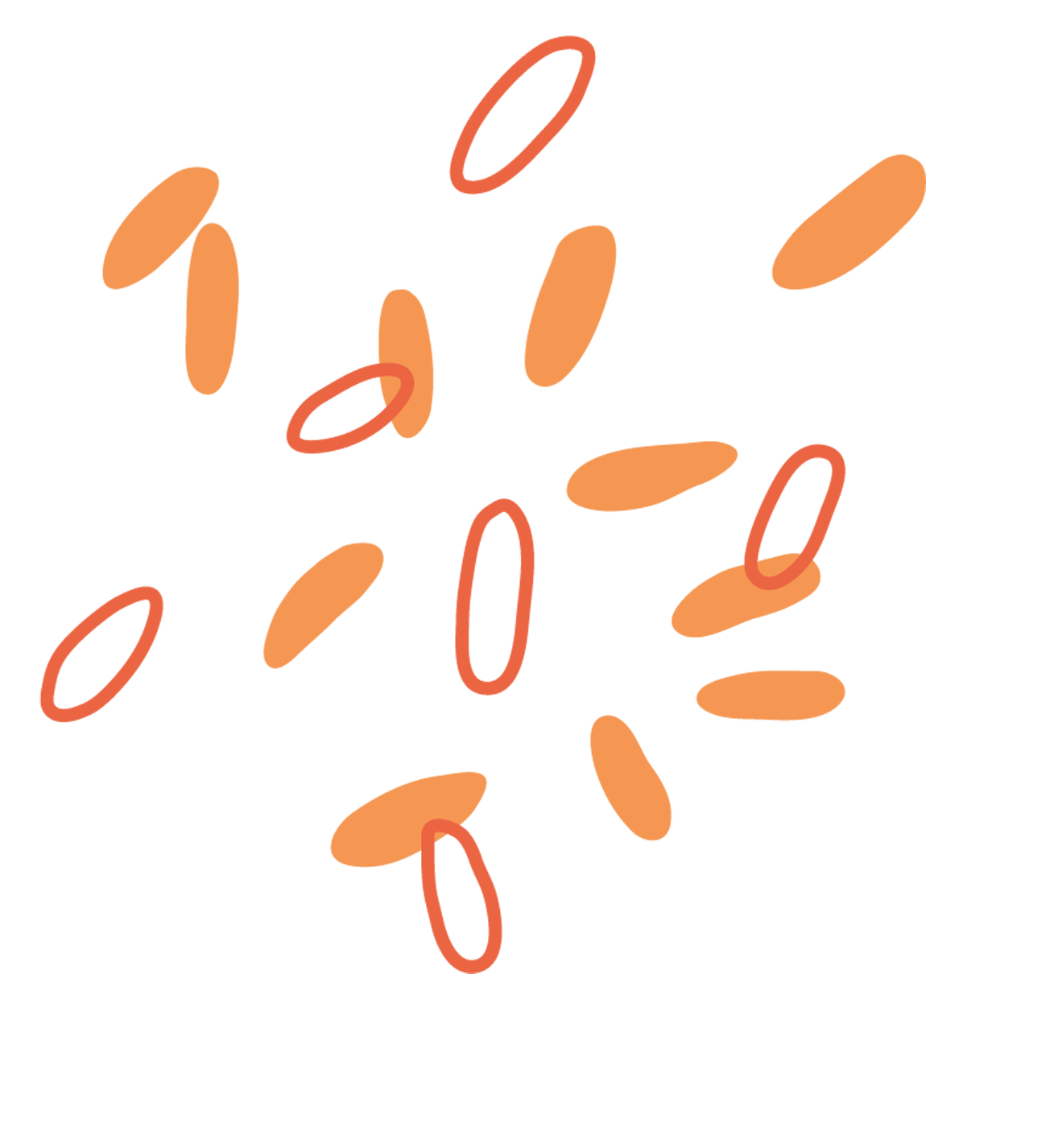 Long Grain