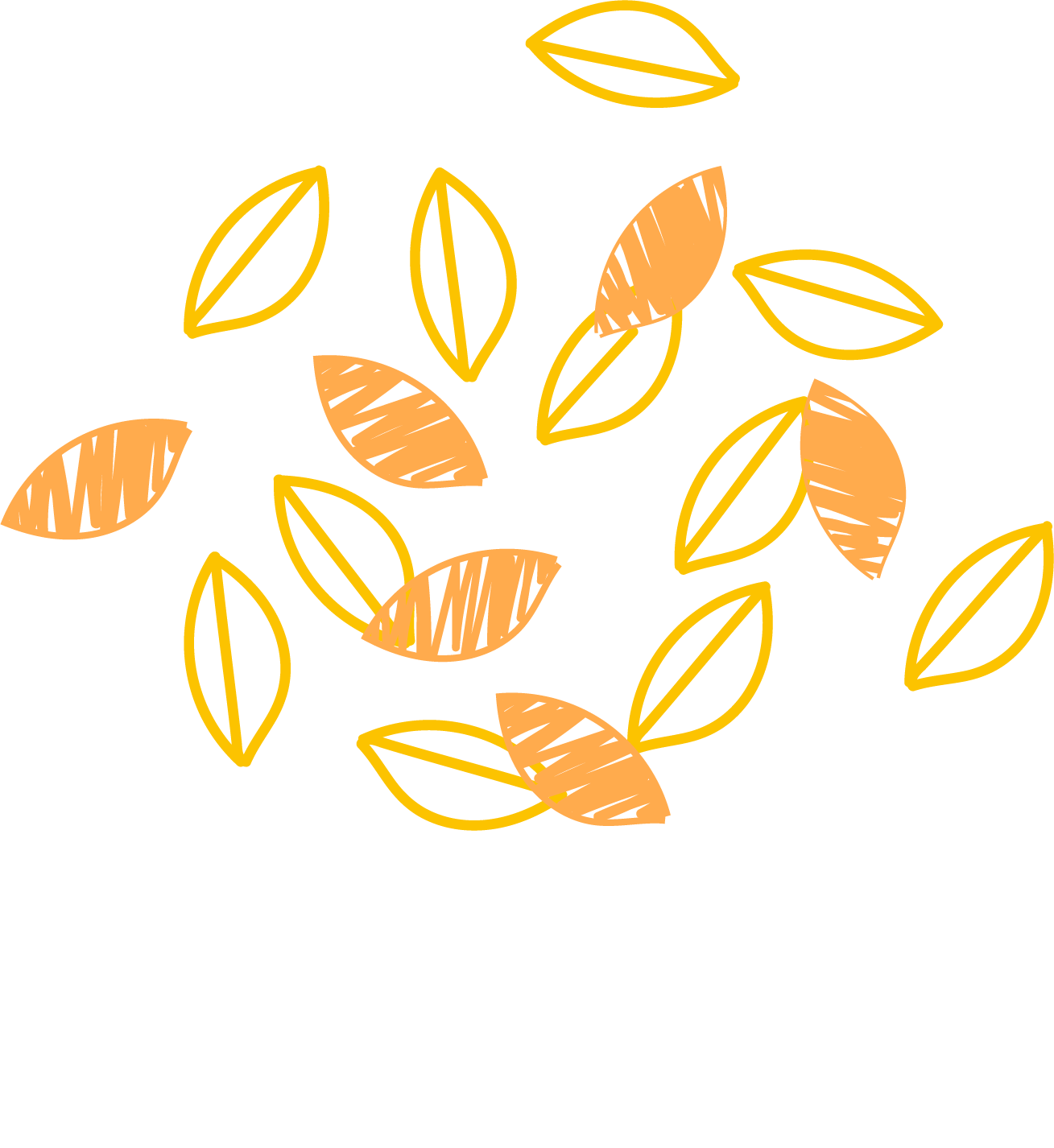 Barley